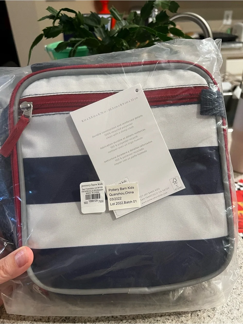 Pottery Barn Kids Navy & White Striped Lunch Bag with Red Trim